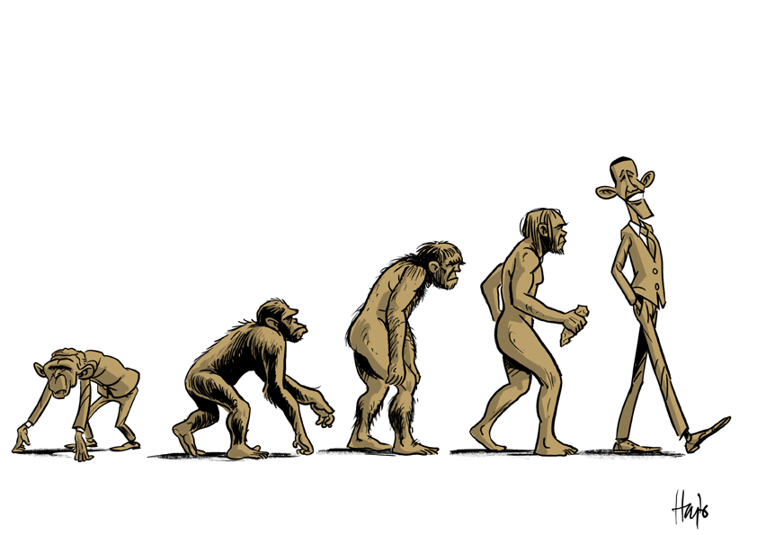 Evolution