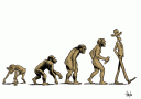 evolution2.gif